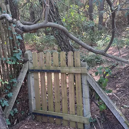 La Du Cap Ferret Lège-Cap-Ferret