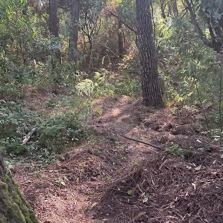 La Du Cap Ferret Lège-Cap-Ferret