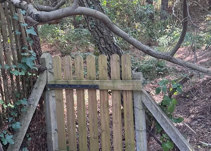 La Du Cap Ferret Lège-Cap-Ferret