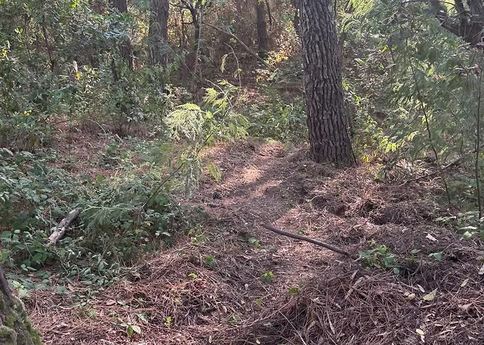 La Du Cap Ferret Lège-Cap-Ferret
